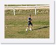 DSCF0211 * 2272 x 1704 * (1.09MB)