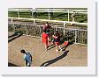 DSCF0226 * 2272 x 1704 * (1.1MB)