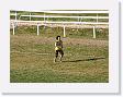 DSCF0229 * 2272 x 1704 * (1.11MB)