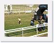DSCF0233 * 2272 x 1704 * (1.1MB)