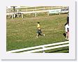 DSCF0236 * 2272 x 1704 * (1.09MB)