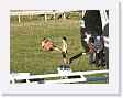 DSCF0256 * 2272 x 1704 * (1.13MB)