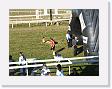 DSCF0258 * 2272 x 1704 * (1.08MB)
