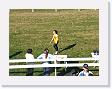 DSCF0263 * 2272 x 1704 * (1.12MB)