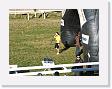 DSCF0264 * 2272 x 1704 * (1.09MB)