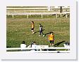 DSCF0266 * 2272 x 1704 * (1.11MB)
