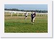 DSC05803 * 3888 x 2592 * (2.31MB)