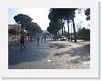 IMG_7282 * 2272 x 1704 * (1.24MB)