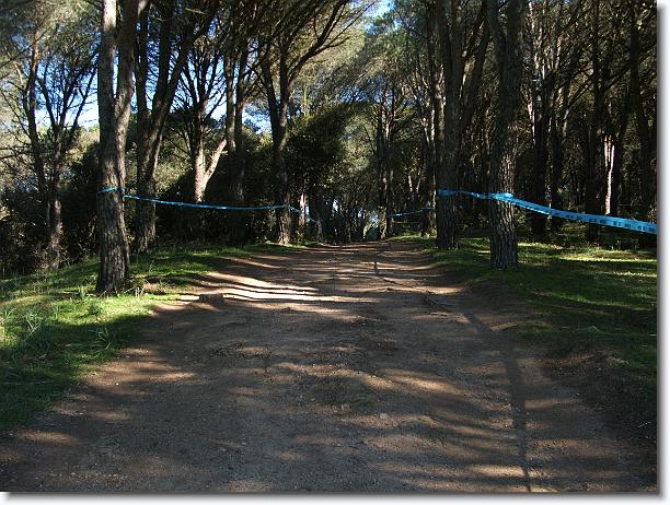 Foto successiva
