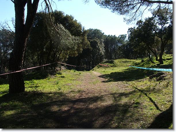 Foto successiva
