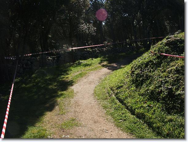 Foto successiva