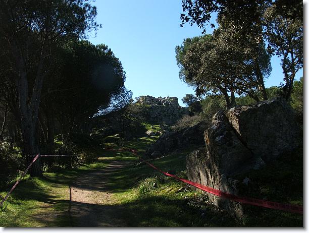Foto successiva