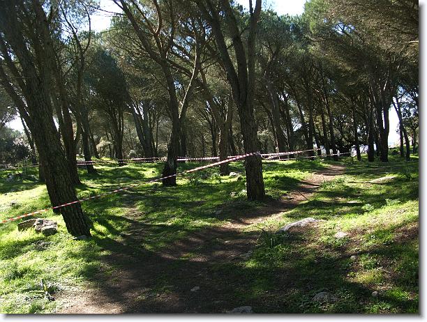 Foto successiva