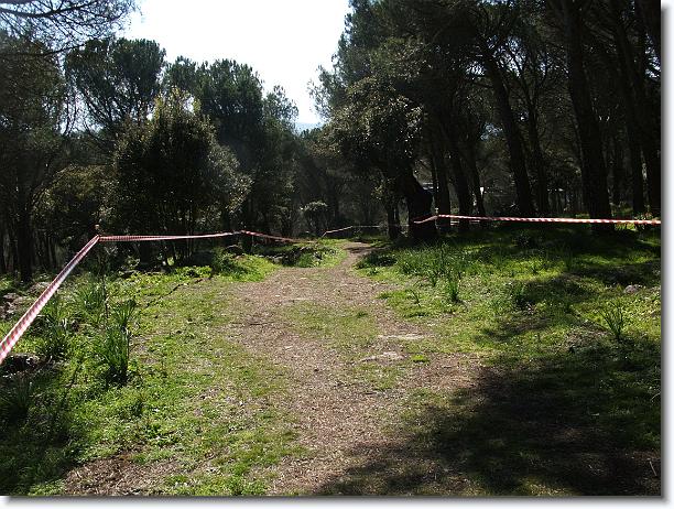 Foto successiva