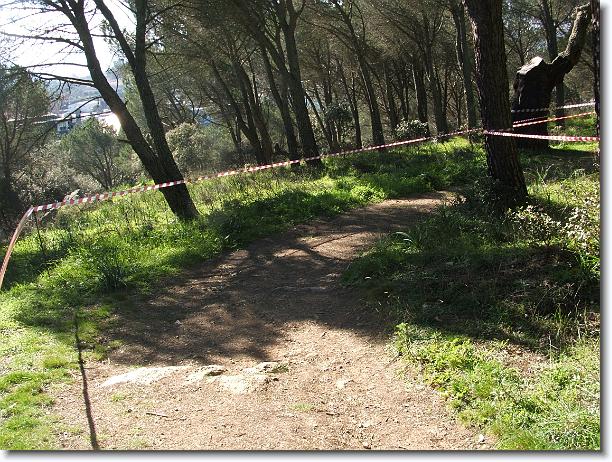 Foto successiva