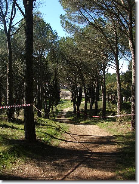 Foto successiva