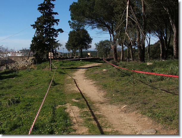 Foto successiva