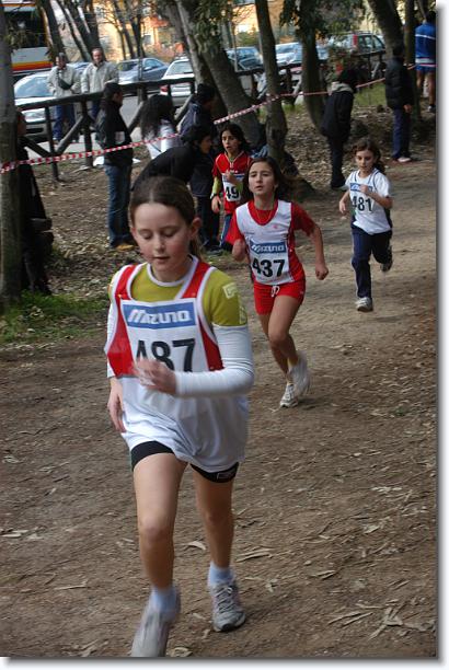 Foto successiva