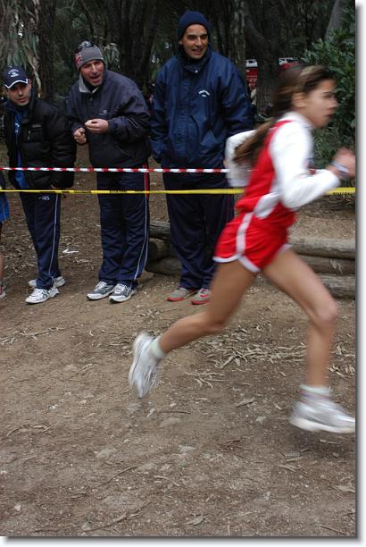 Foto successiva