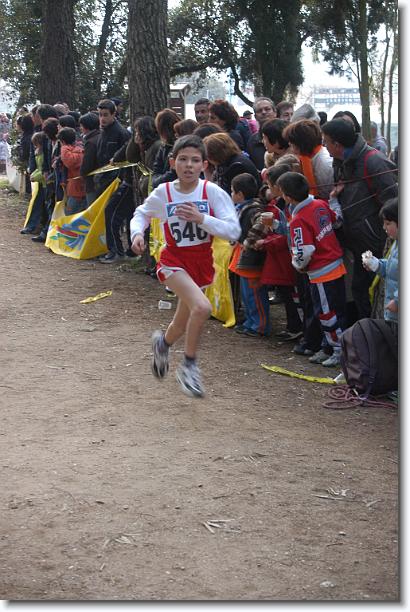 Foto successiva