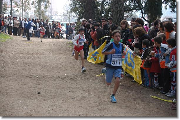 Foto successiva