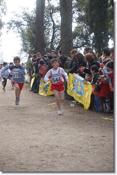 Foto successiva