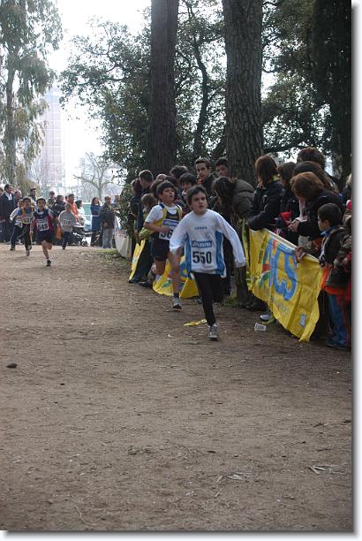 Foto successiva
