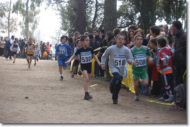 Foto successiva