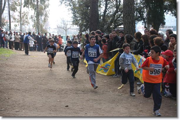 Foto successiva