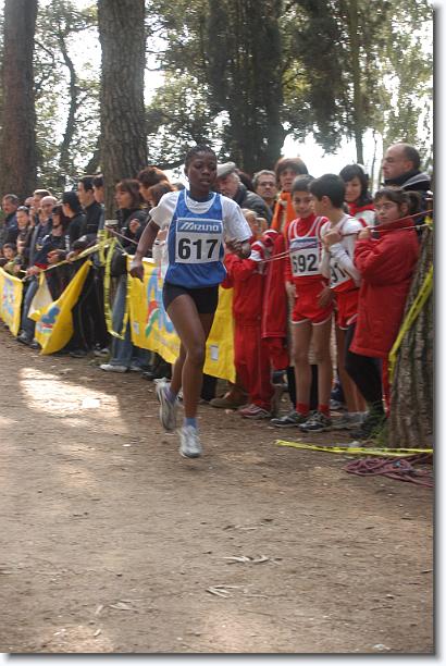 Foto successiva