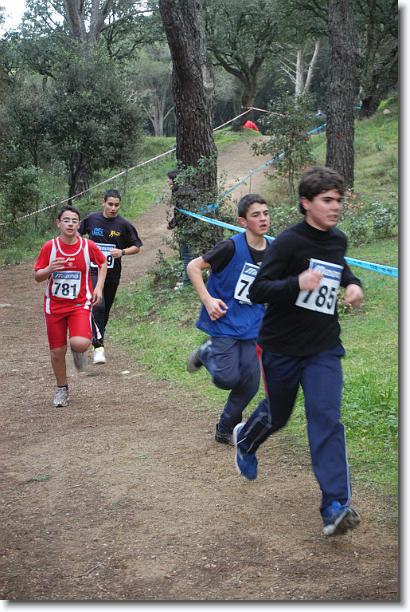 Foto successiva