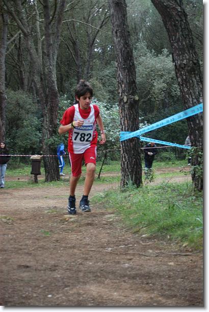 Foto successiva