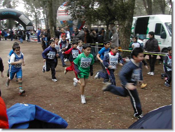 Foto successiva