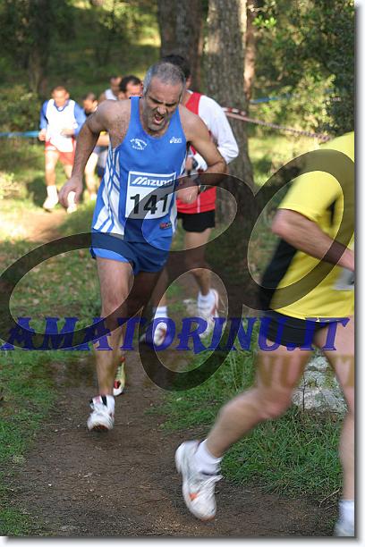Foto successiva