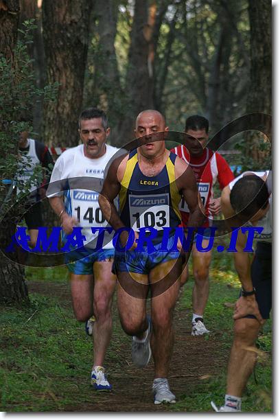 Foto successiva