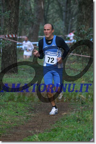 Foto successiva