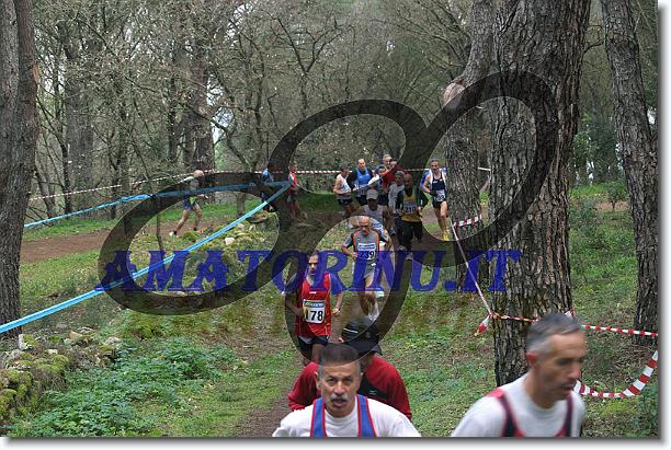 Foto successiva
