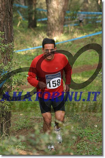 Foto successiva