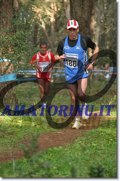 Foto successiva