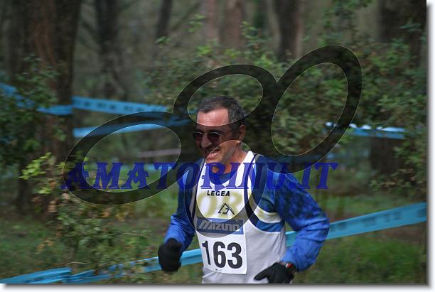 Foto successiva