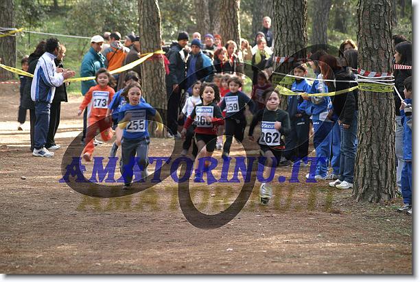 Foto successiva