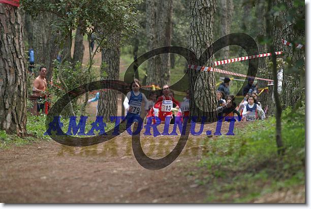 Foto successiva