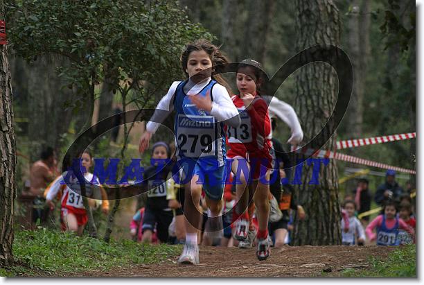 Foto successiva