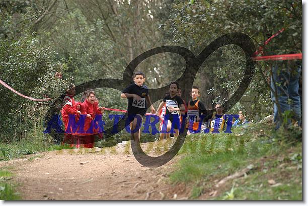 Foto successiva