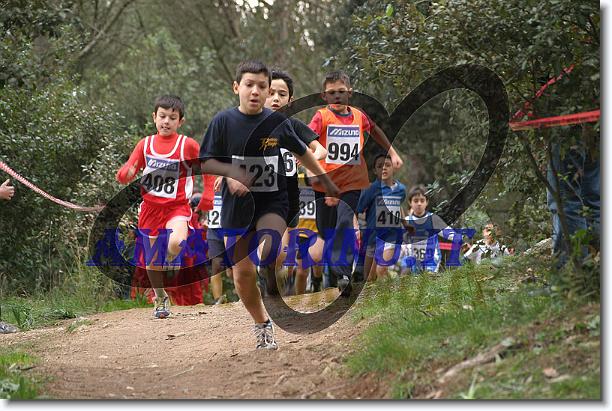Foto successiva