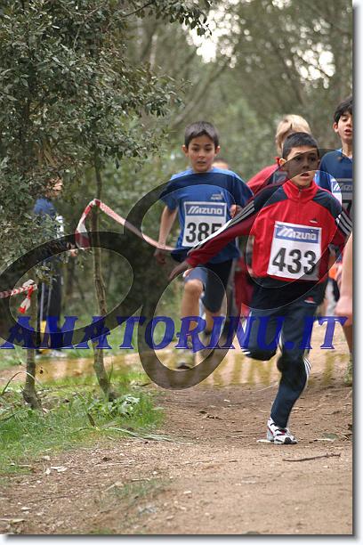 Foto successiva