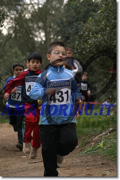 Foto successiva