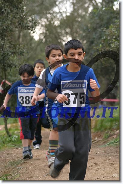 Foto successiva