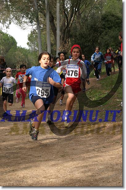 Foto successiva