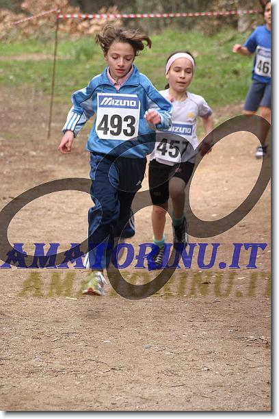 Foto successiva